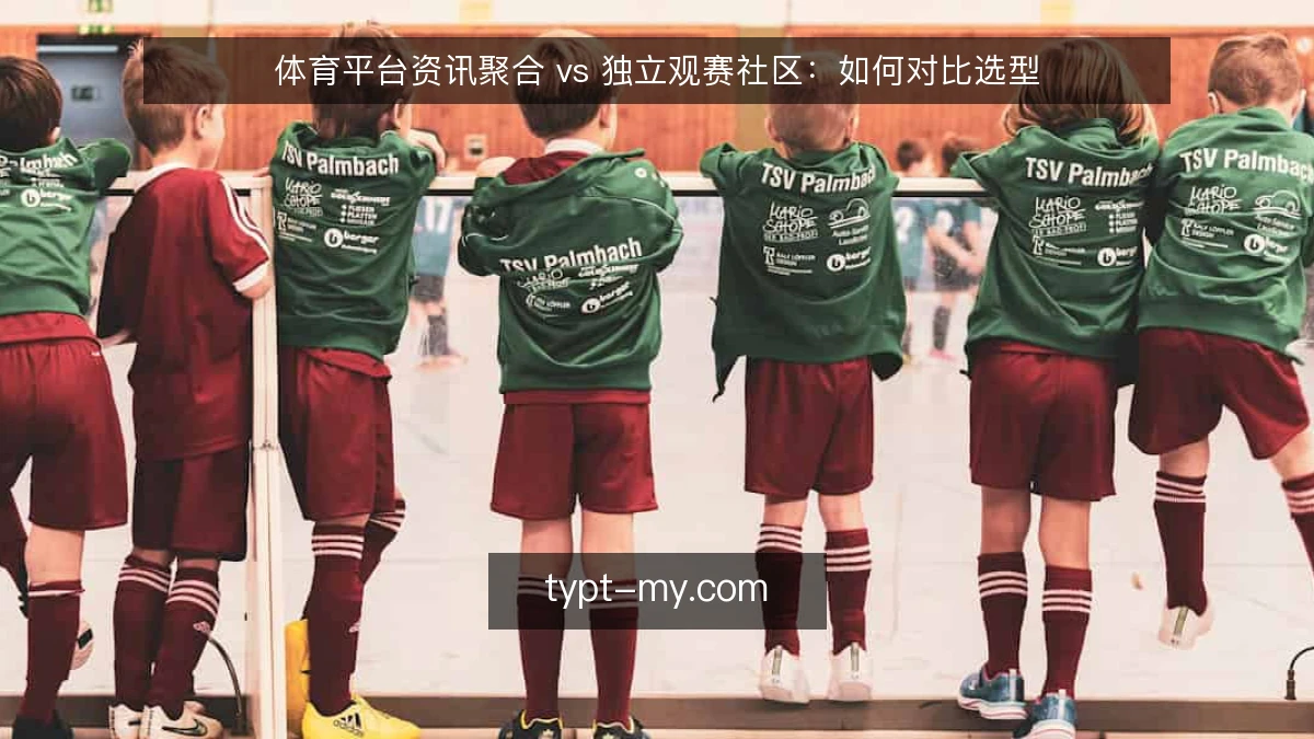 体育平台资讯聚合 vs 独立观赛社区：如何对比选型