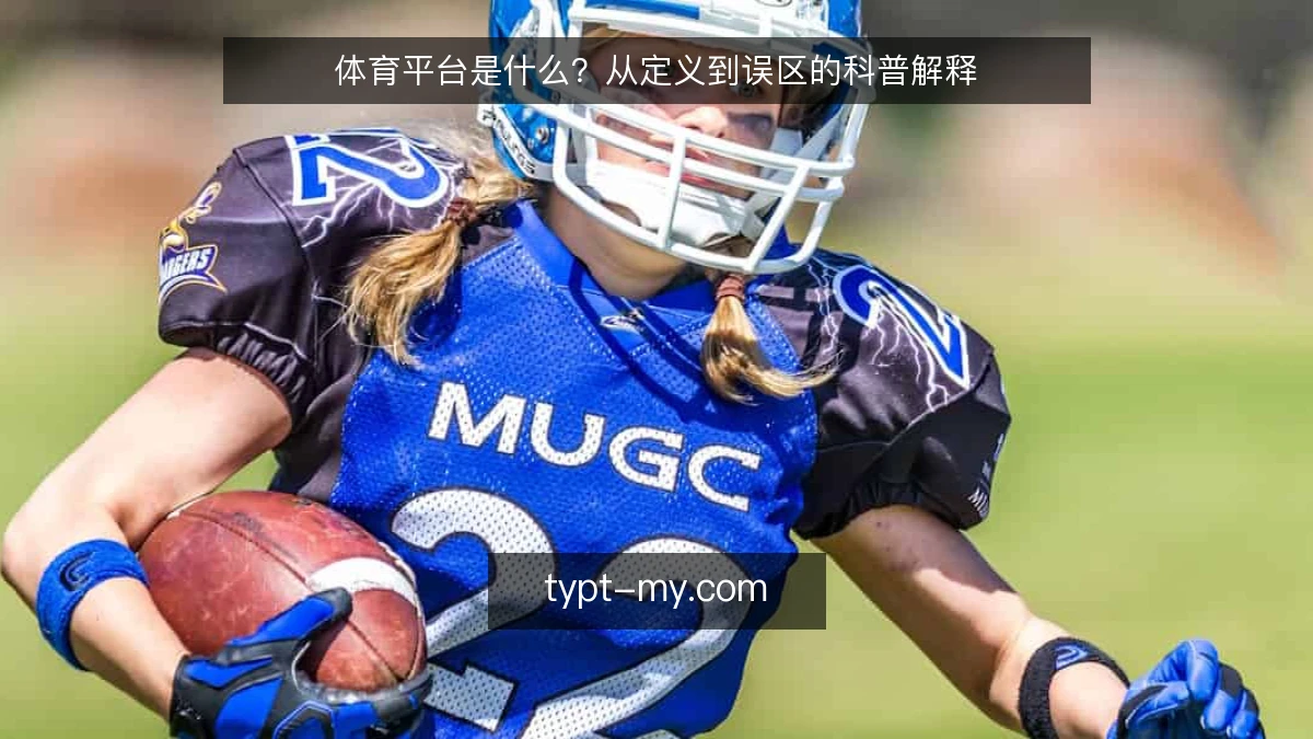 体育平台是什么?从定义到误区的科普解释