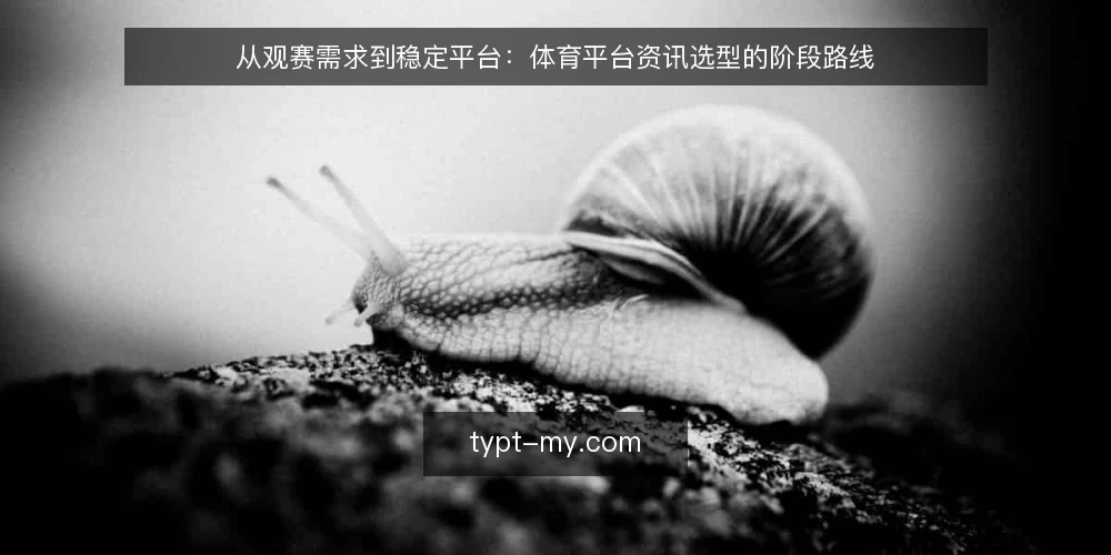 从观赛需求到稳定平台：体育平台资讯选型的阶段路线 — 起点：明确观赛与资讯的核心诉求 配图